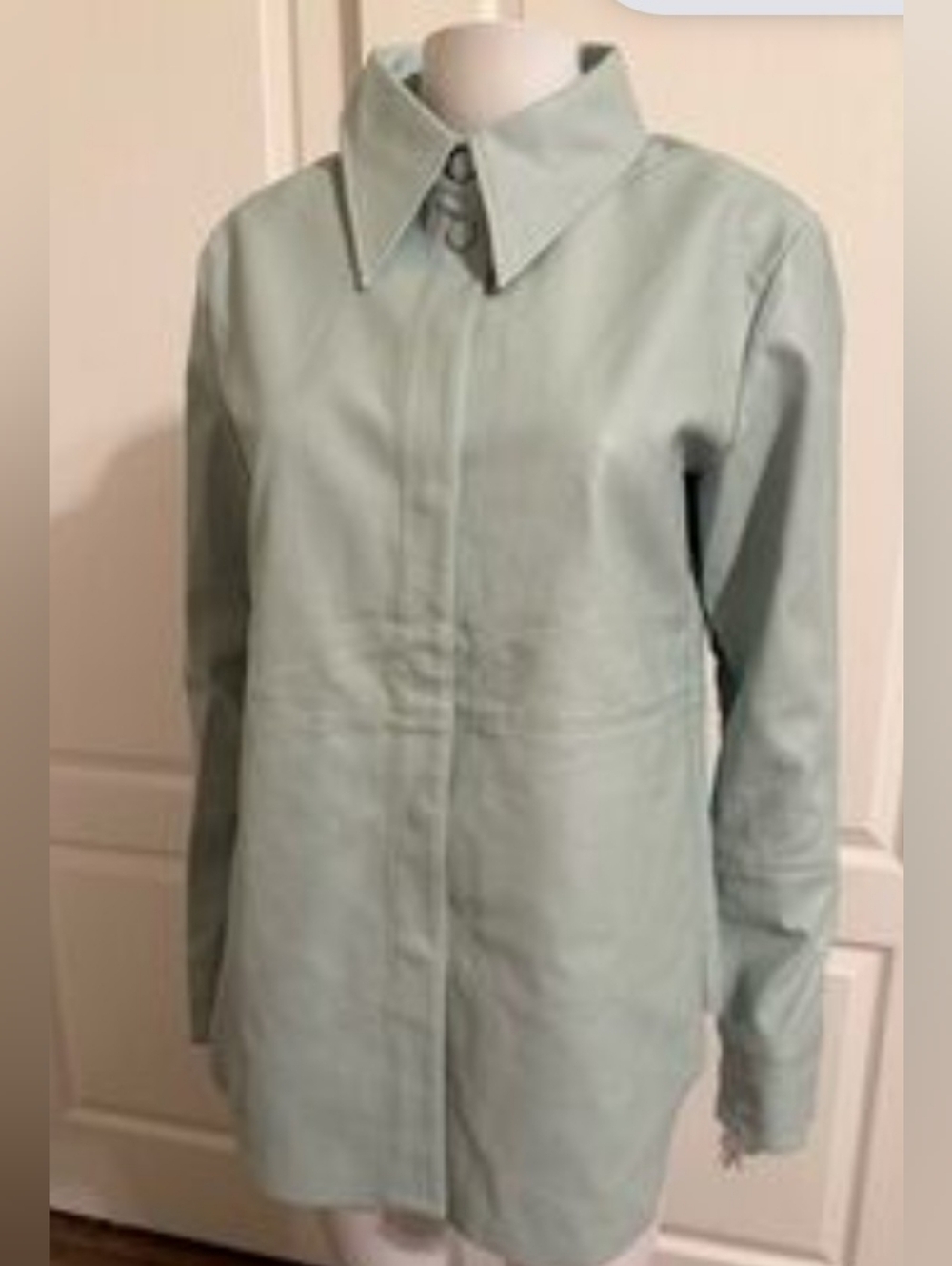 Dolce Cabo Mint Leather Shirt Jacket